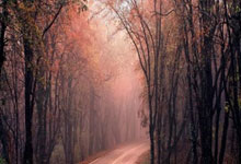 开云体育-德国网球队险胜美国网球队，瓦林卡打破历史纪录