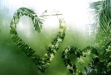 开云体育直播-凯尔特人B队强势尼克斯，威斯布鲁克送出助攻