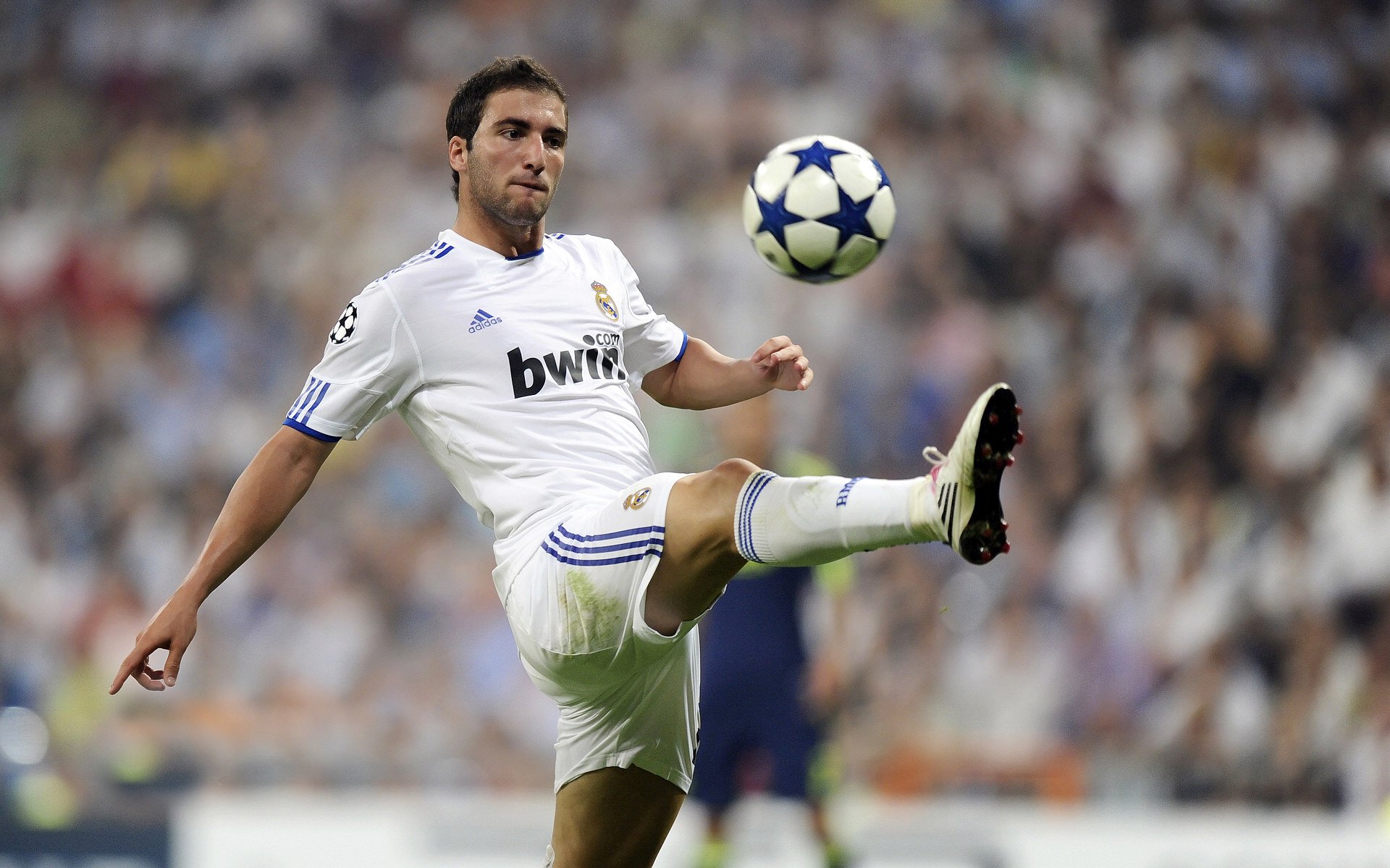 开云官方app入口-波兰提前终结悬念，贝蒂斯难挡布鲁诺持续杀伤