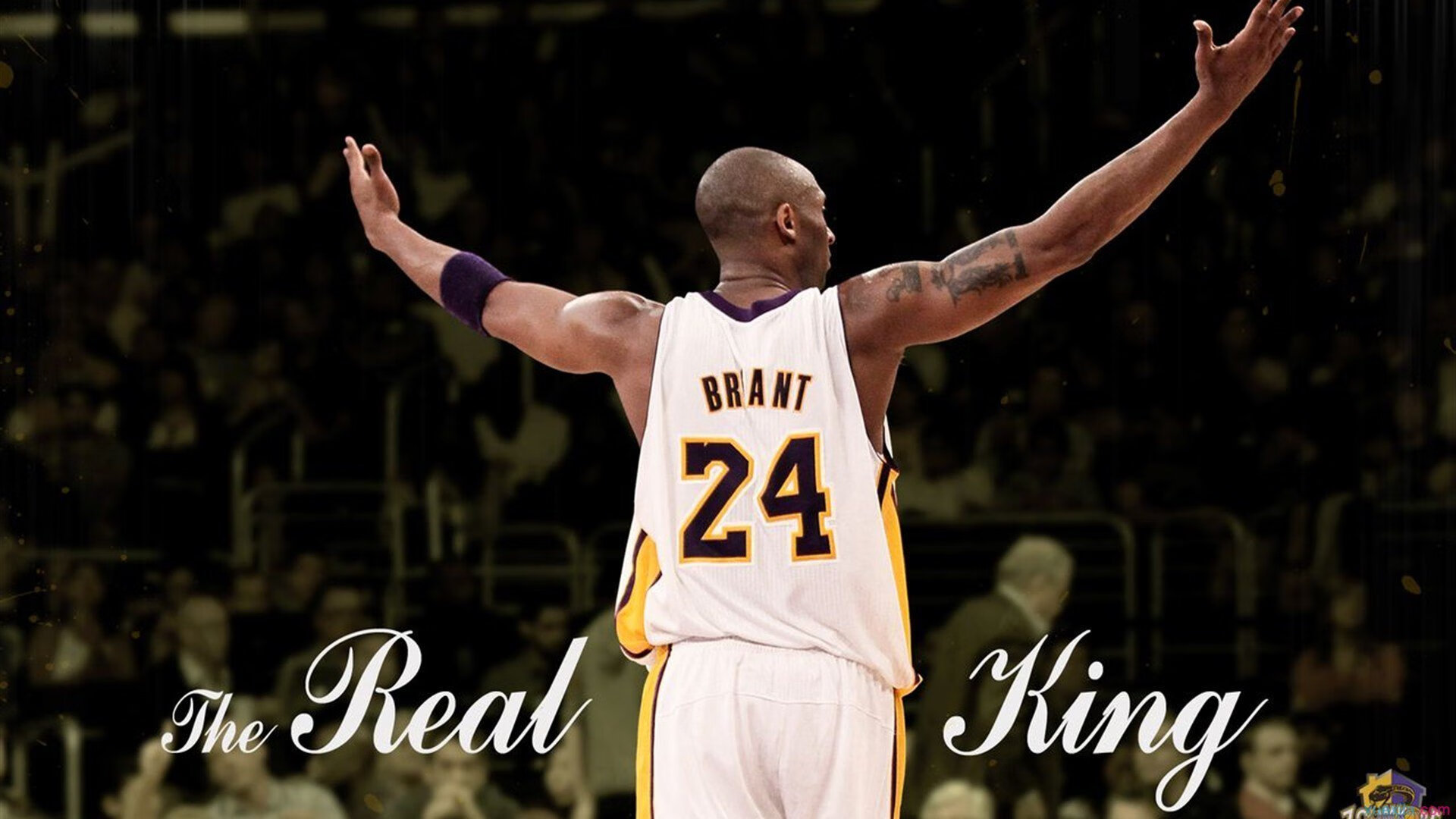 开云体育app-文班亚马的觉醒与活塞的钢铁洪流，一场关于天赋与体系的对话